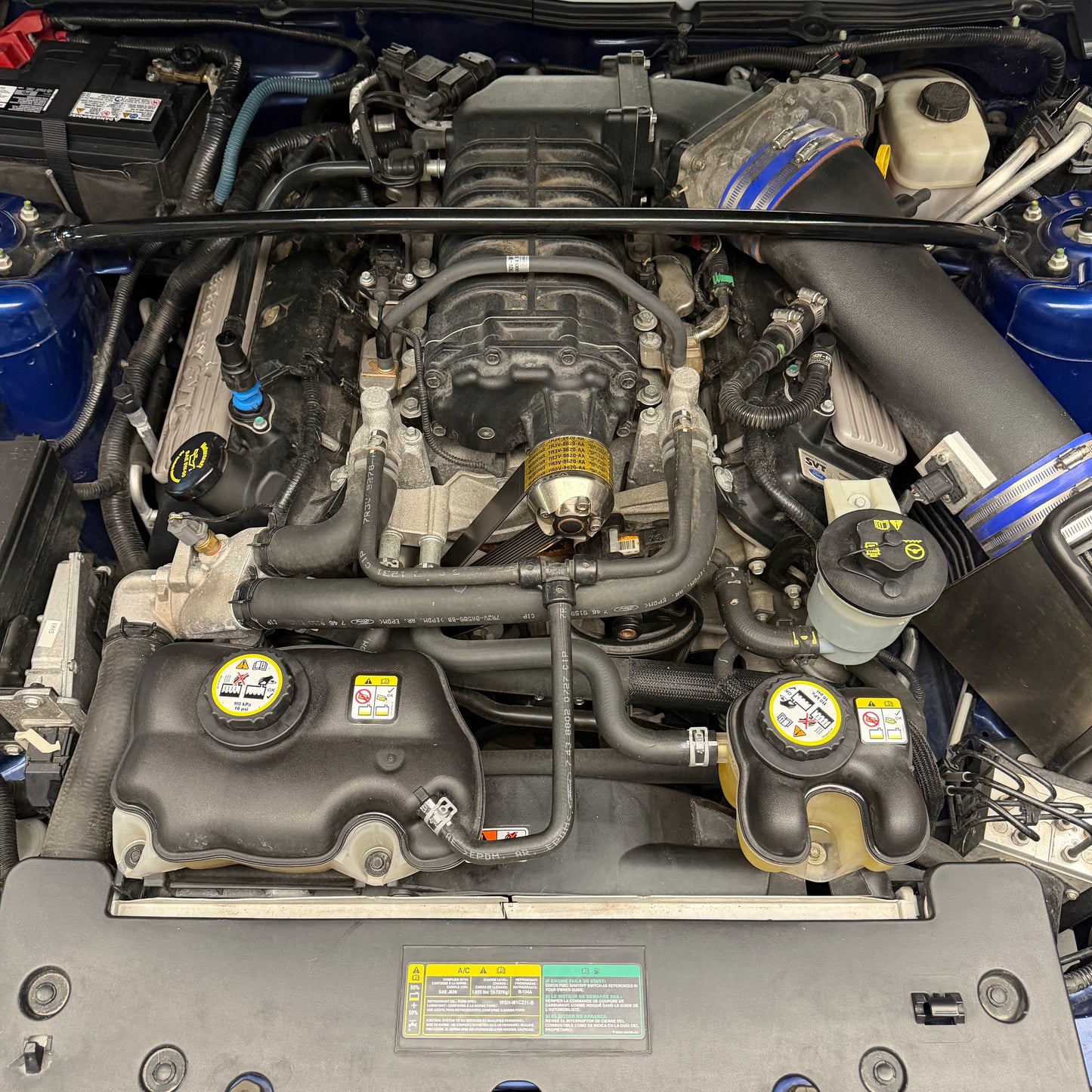 2008 Ford Mustang Shelby GT500 SVT