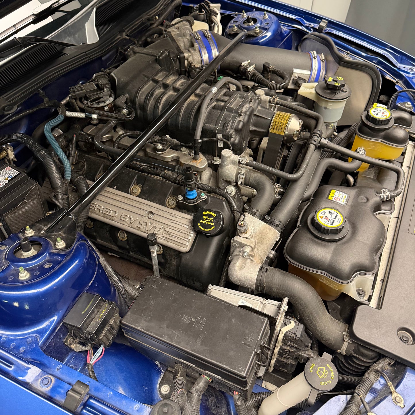 2008 Ford Mustang Shelby GT500 SVT