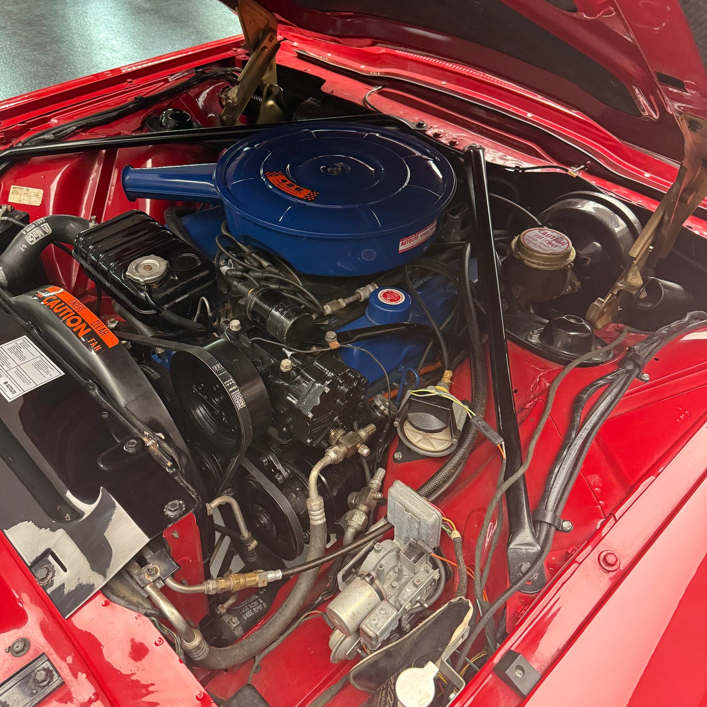 1966 Ford Thunderbird 428