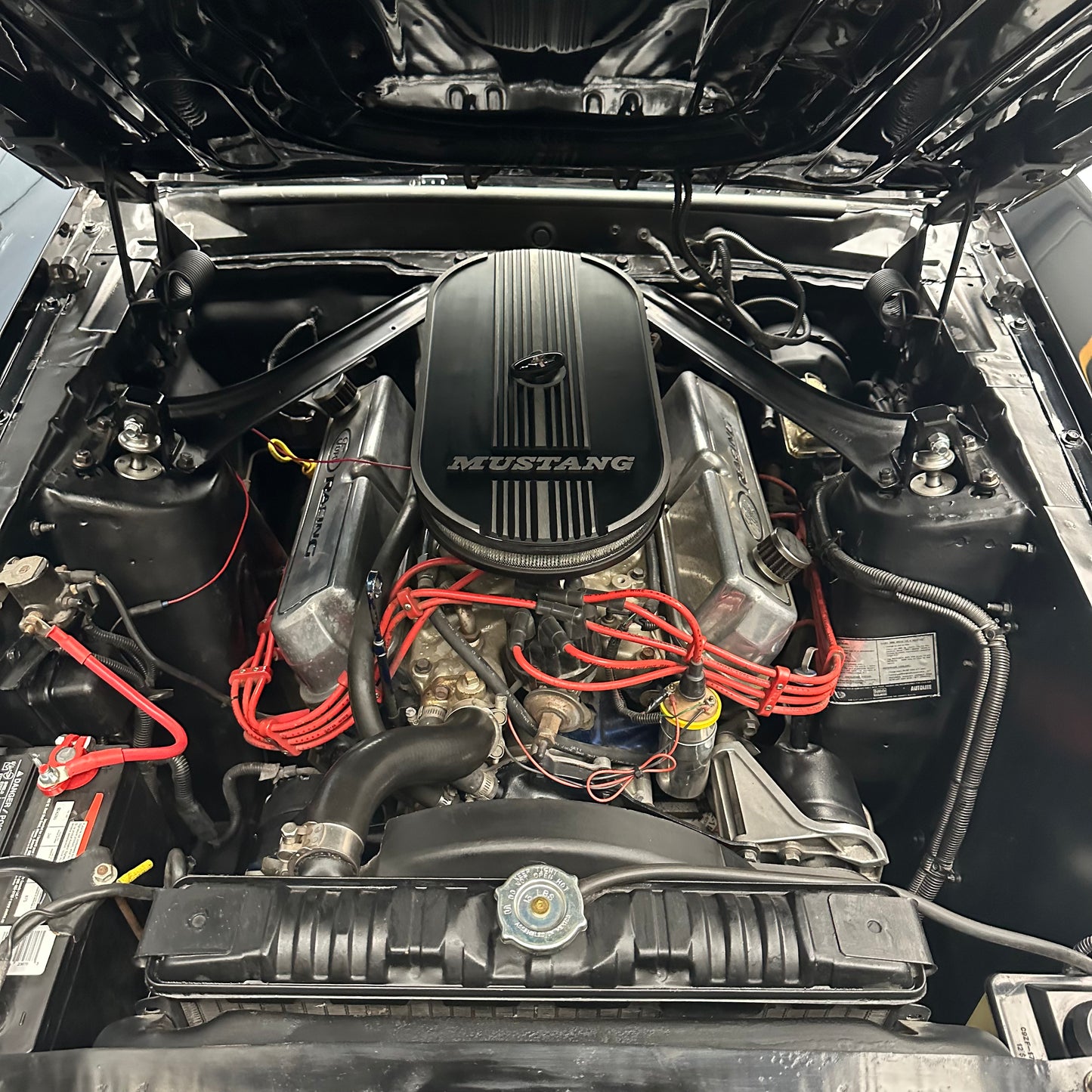 1969 Ford Mustang Fastback 351W – Traditional Motors Company