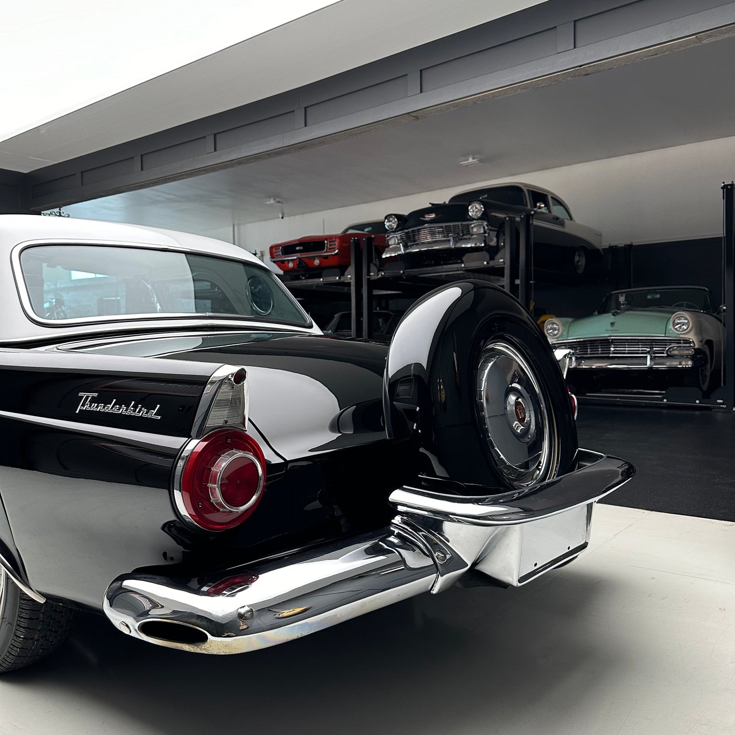 1956 Ford Thunderbird